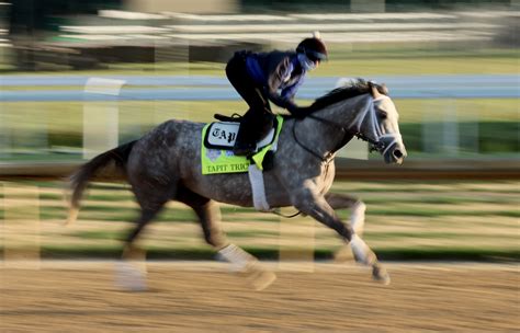 kentucky derby bets superfecta|Kentucky Derby Picks: Best Trifecta, Superfecta, and Exacta Best .